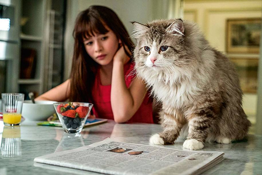 A comédia de fantasia "Virei um Gato"