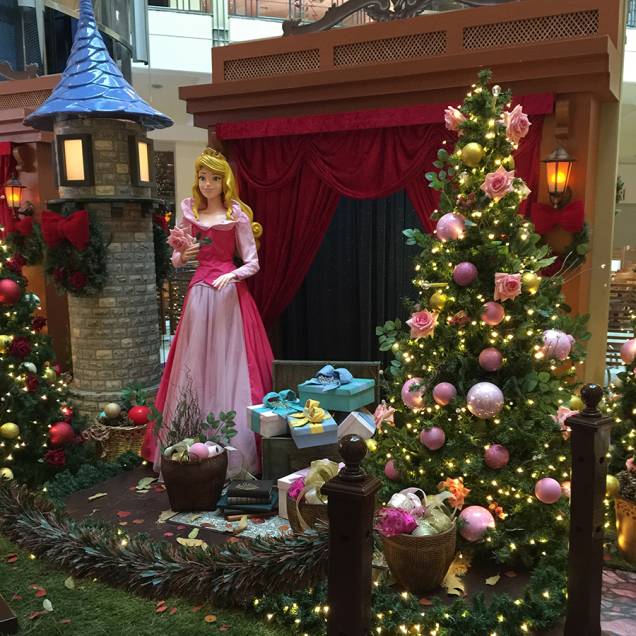 	A princesa Aurora, de <em>A Bela Adormecida</em>, recebe as crianças no shopping Villa-Lobos