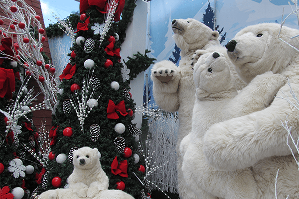 Ursos polares: fazem a alegria das crianças que passam pelo local