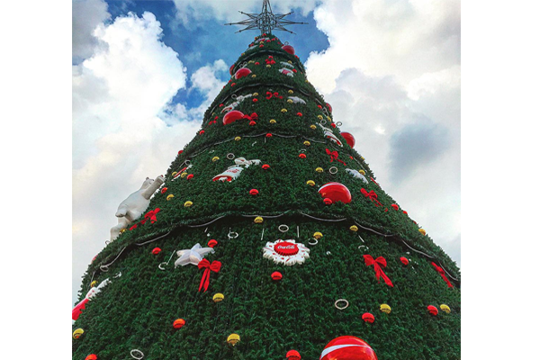 Árvore de Natal de 2015 do Parque Ibirapuera é a menor da história | VEJA SÃO PAULO Árvore de Natal de 2015 do Parque Ibirapuera é a menor da história | VEJA SÃO PAULO