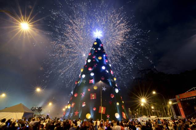 Paulistanos acompanharam a inauguração da árvore de Natal, que contou com queima de fogos e show de Toquinho, em 2014