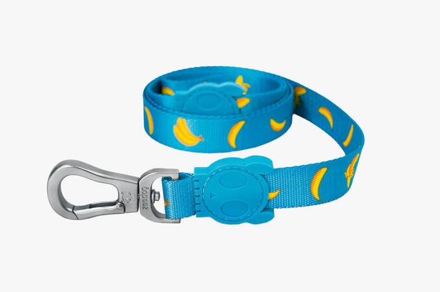 Guia para cachorro de grande porte Guia para cachorro de grande porte
