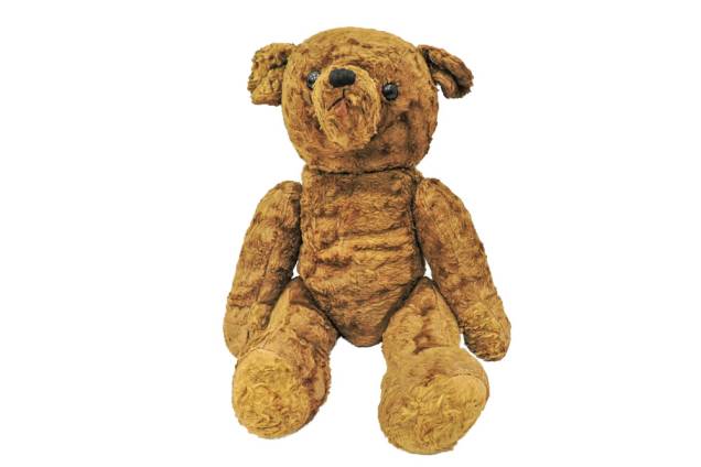 Teddy Bear 