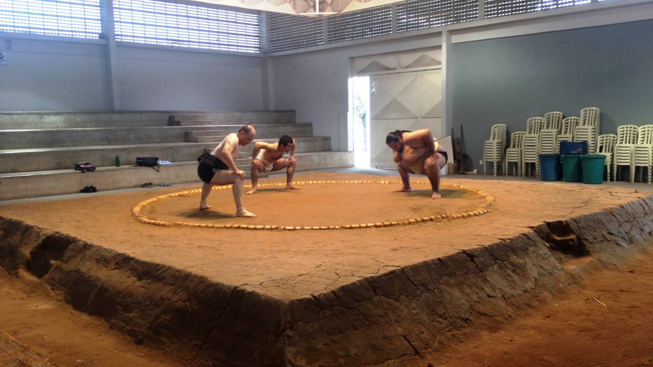 Lutadores de sumô treinam no dohyo