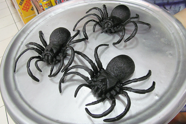 Aranhas de borracha: 2 reais cada uma, na Império das Festas