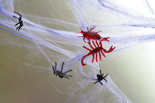 Teia de aranha artifical: 5 reais o pacote (disponível nas cores roxo, branco ou laranja), nas Lojas Millôr