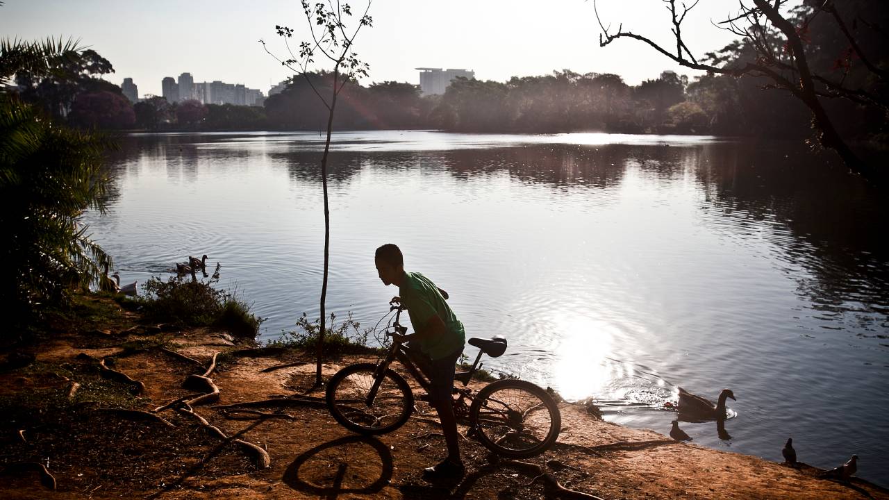 parque do ibirapuera