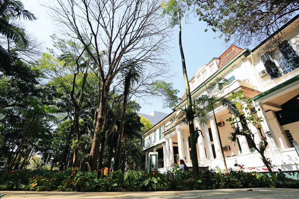 Bosque Hospital Oswaldo Cruz