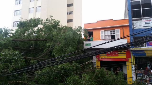 	Angência de empregos atingida no local