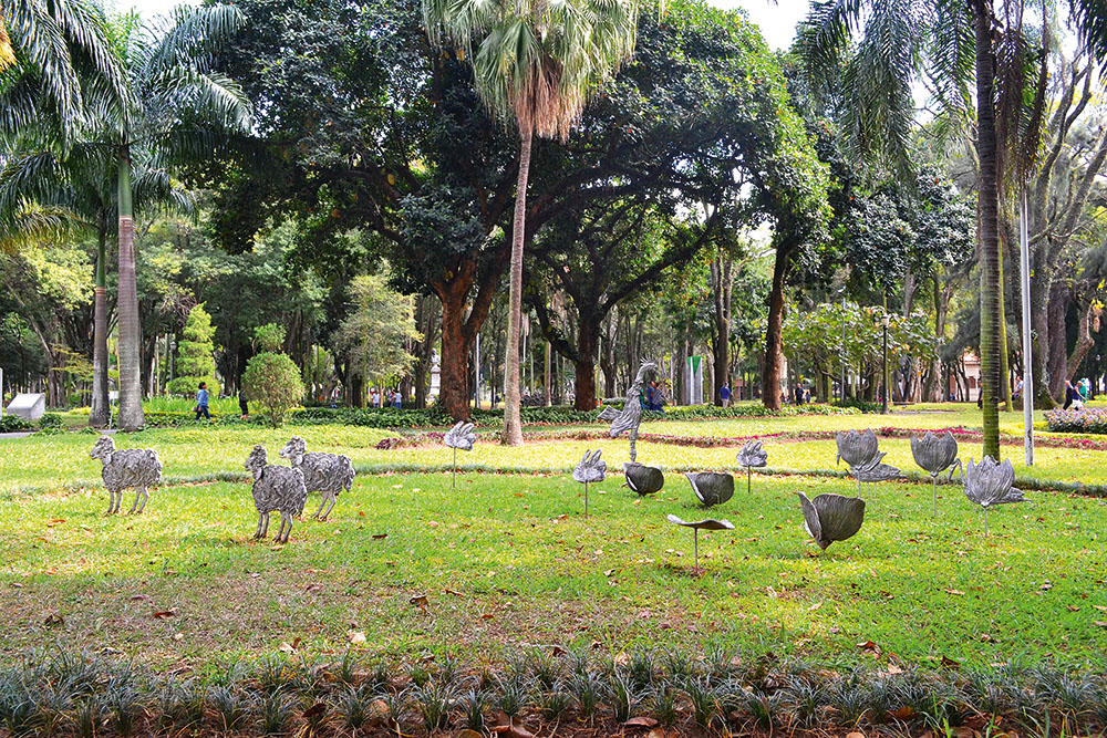 Tudo sobre jardim da luz VEJA SÃO PAULO Tudo sobre jardim da luz VEJA SÃO PAULO