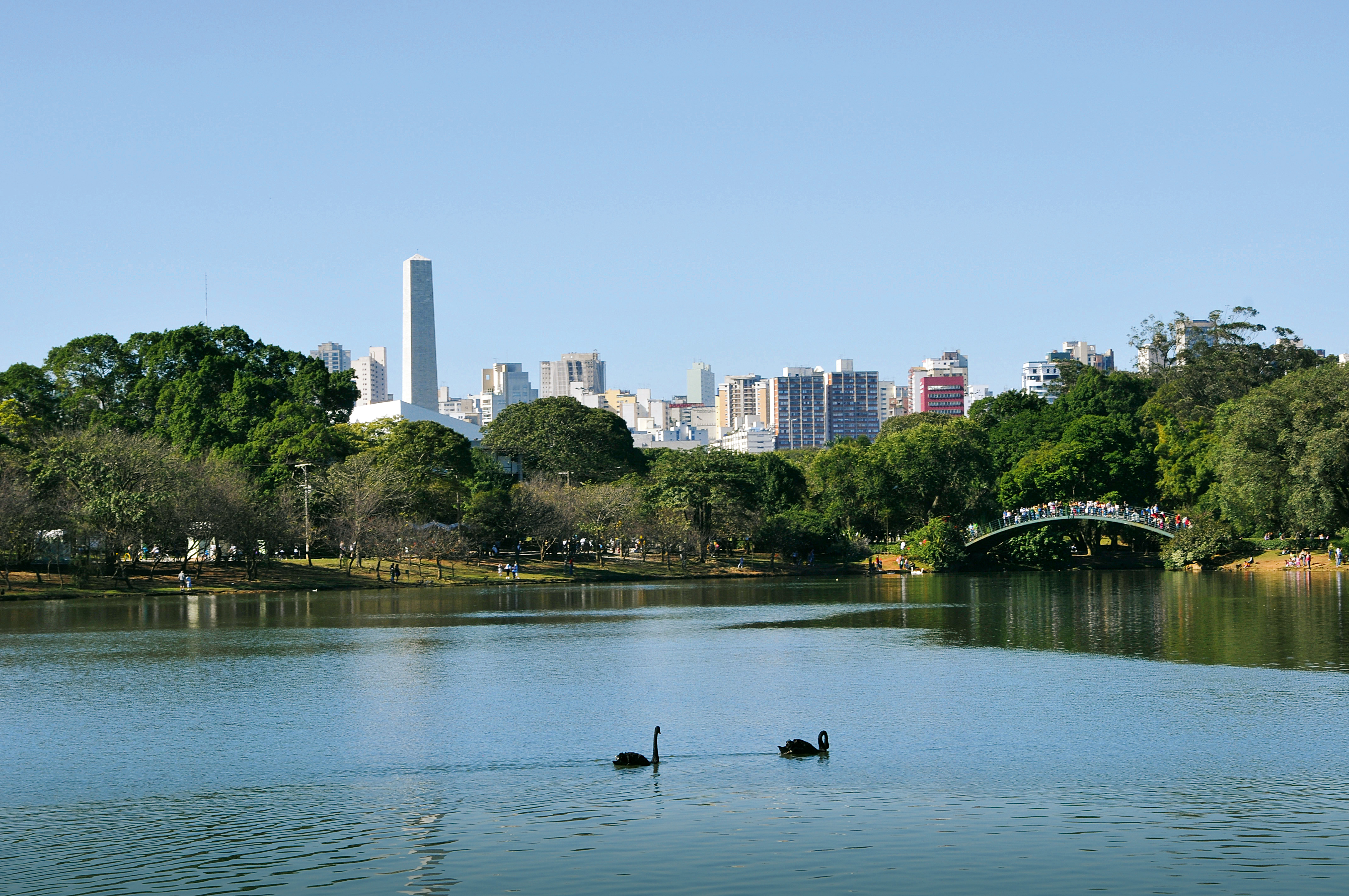 Parque Ibirapuera celebra 65 anos com atividades especiais | VEJA SÃO ...