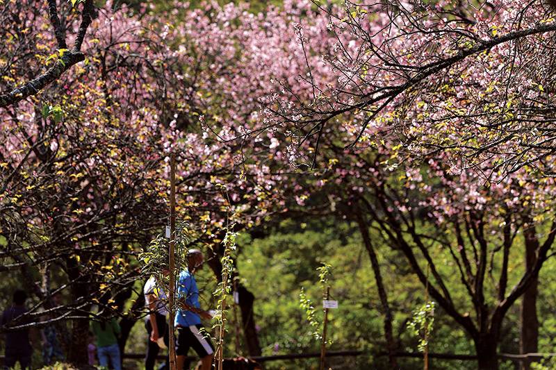 Parque do Carmo