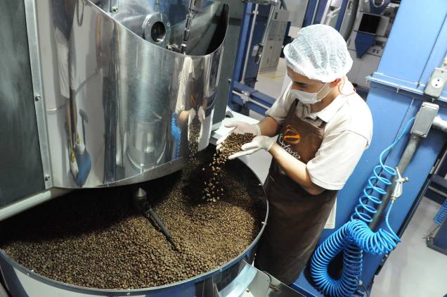 Da semente à xícara: curso aborda toda a produção de café
