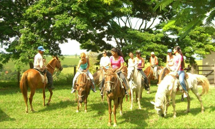 Pousada Mirante: cavalos para montaria