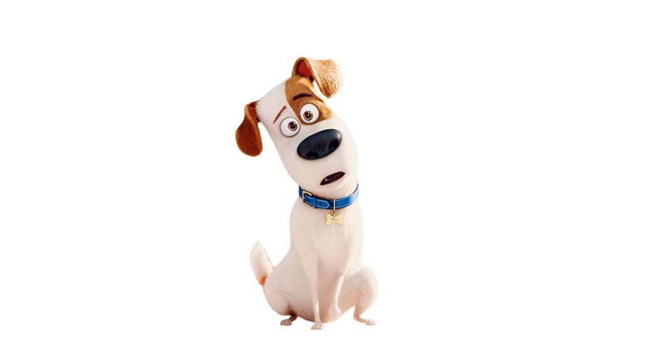 Max um dos protagonistas da animação Pets — A Vida Secreta dos Bichos