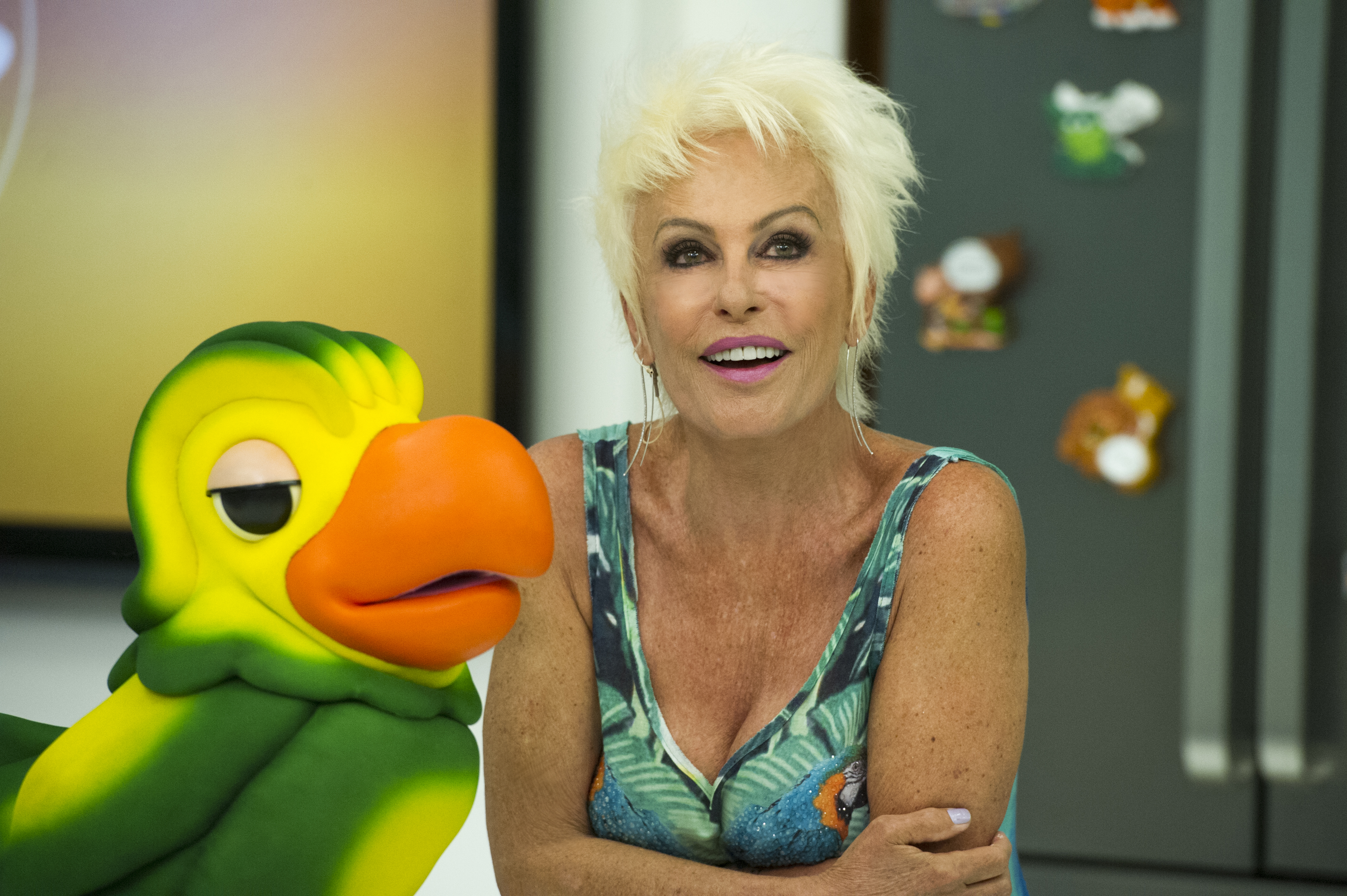 Ana Maria Braga