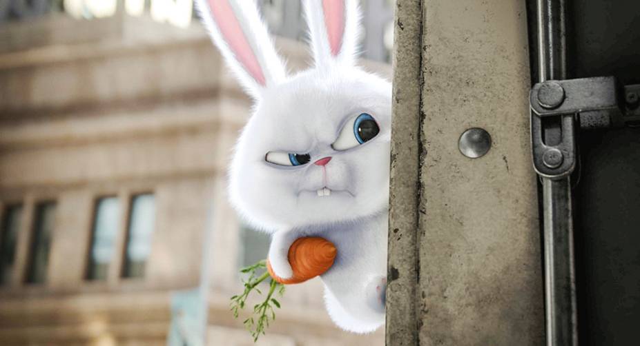 Dublado pelo ator Luis Miranda, o coelho Bola de Neve é um dos personagens da animação