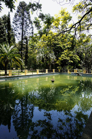 Parque de Água Branca: ideal para um pique nique