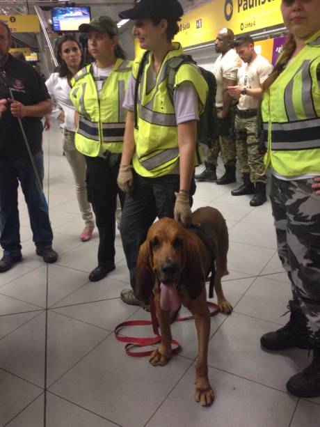 Bruno desfilou por horas e chamou a atenção no Metrô