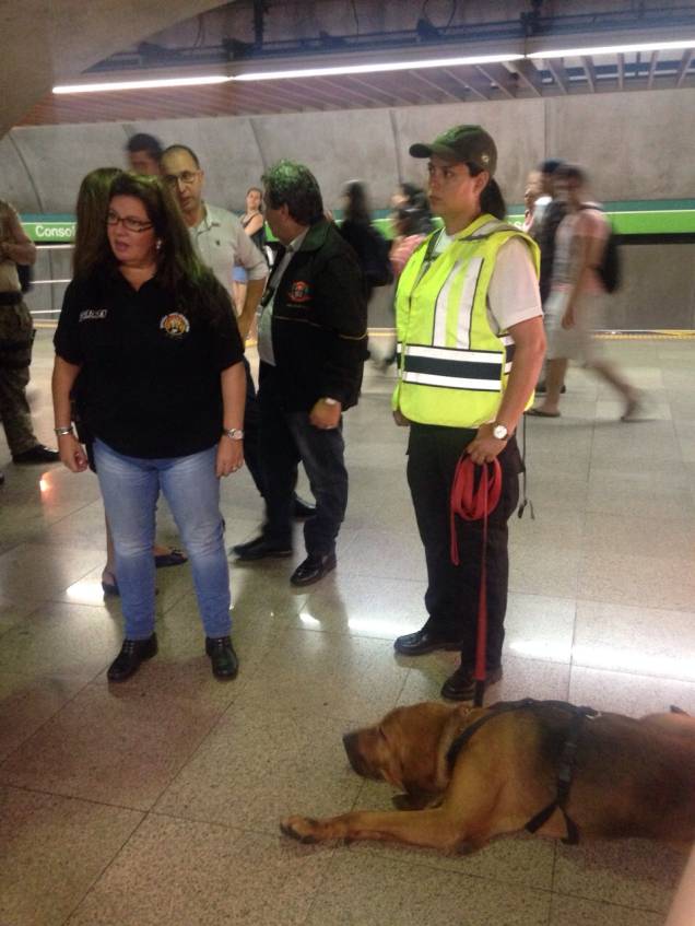 Cão farejador procurou o paradeiro do médico desaparecido Roberto Gomes no Metrô