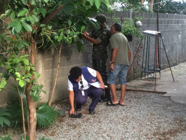 Funcionária retira vaso de planta com água parada na casa de morador do Limão Funcionária retira vaso de planta com água parada na casa de morador do Limão