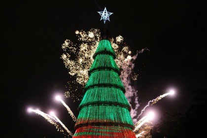 Árvore de Natal - Parque Ibirapuera