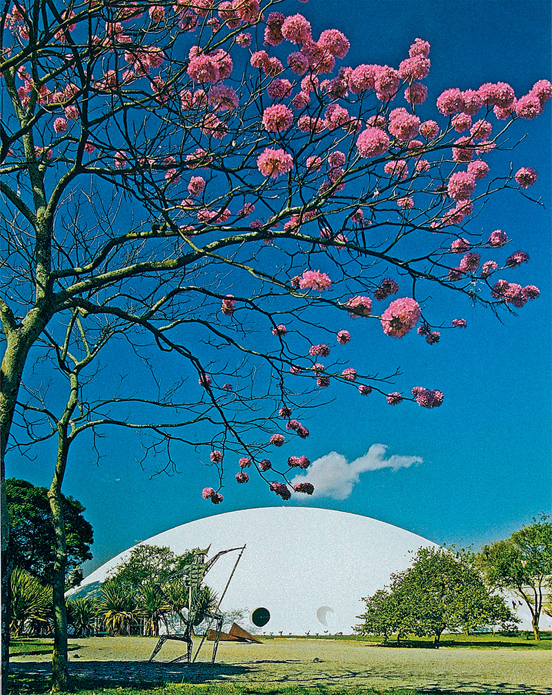 Misterios da Cidade Ed. 51- Foto feita por Tetsuo Segui que está no livro Parque Ibirapuera