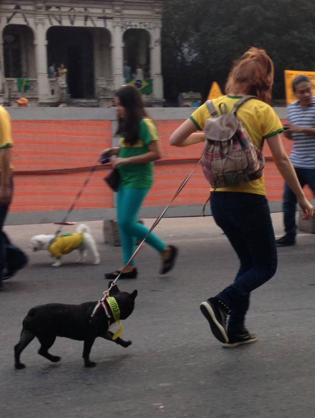 Donos e cães capricharam nos adereços para participarem do ato contra a presidente Dilma Rousseff