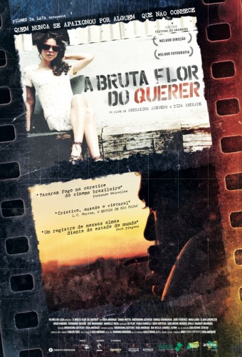 Pôster de A Bruta Flor do Querer