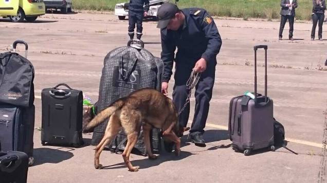 Cães farejam as malas dos passageiros no Marrocos