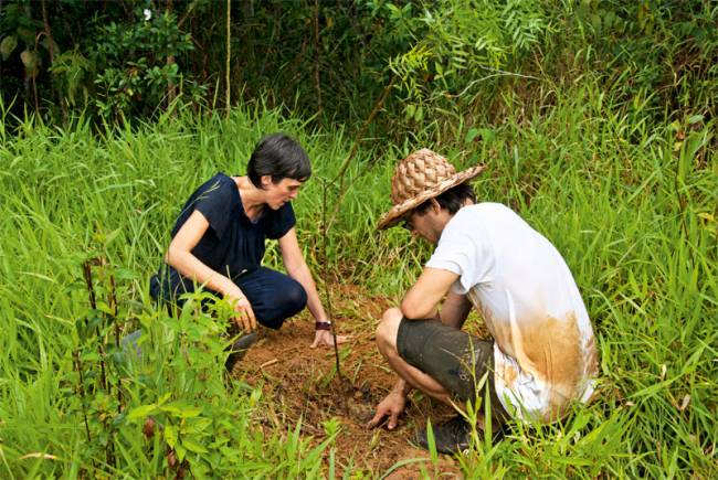 Grupo se reúne para plantar árvores em regiões de nascentes