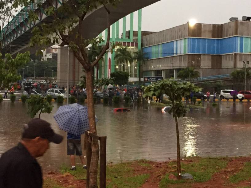 Córrego Tamanduateí transbordou no centro