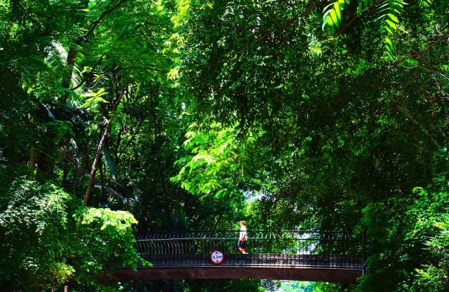 O verde e a passarela do Parque Trianon