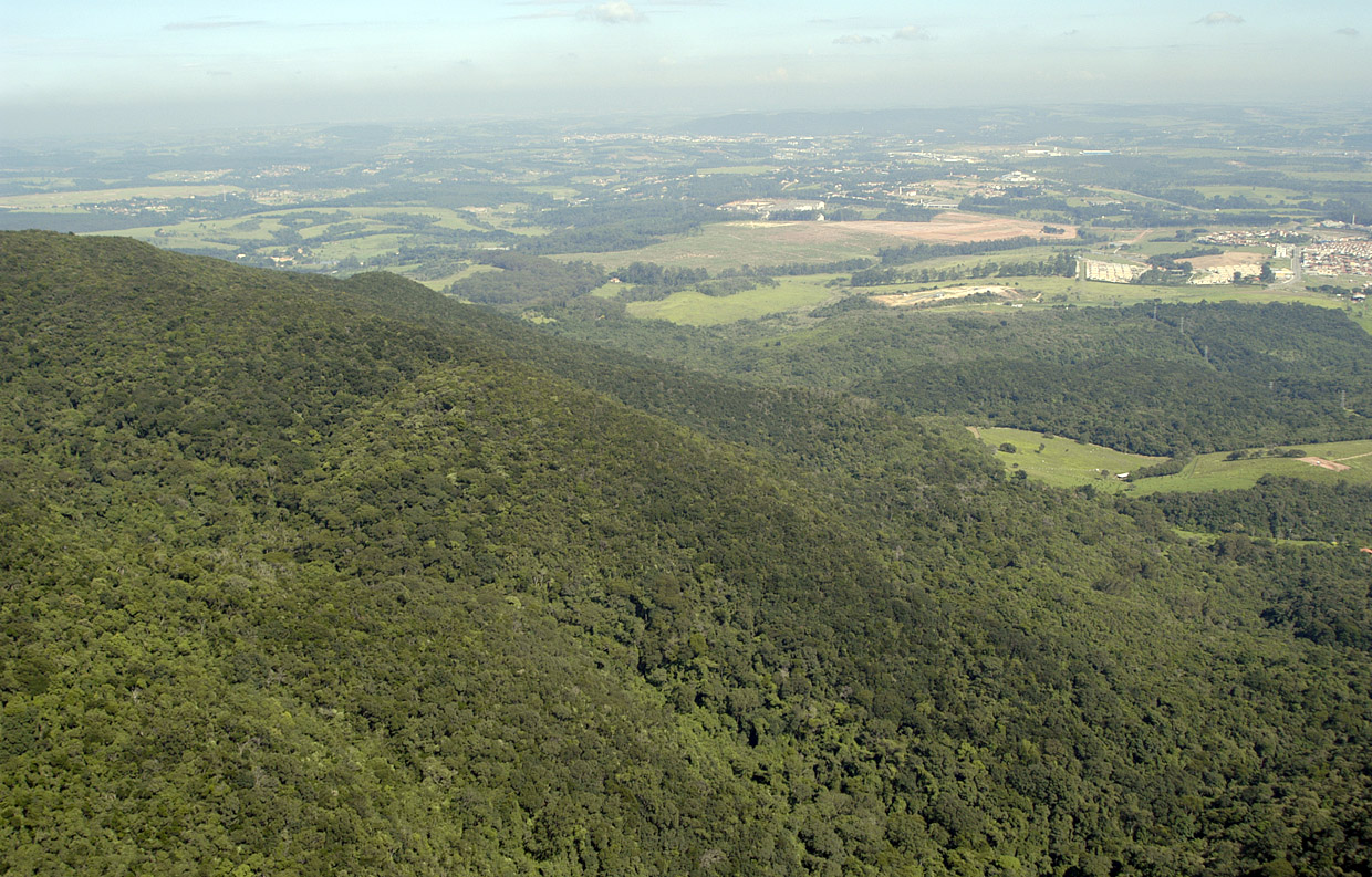 Serra do Japi
