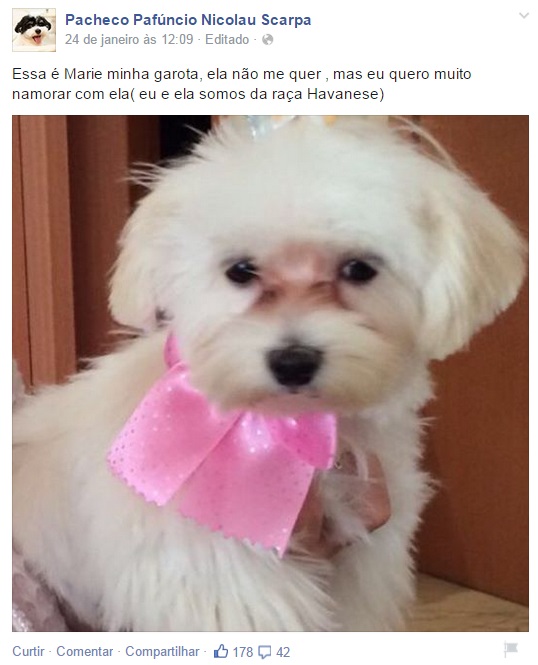 Marie, a cadela amada: "Essa é Marie, minha garota. Ela não me quer, mas eu quero muito namorar com ela" Marie, a cadela amada: "Essa é Marie, minha garota. Ela não me quer, mas eu quero muito namorar com ela"