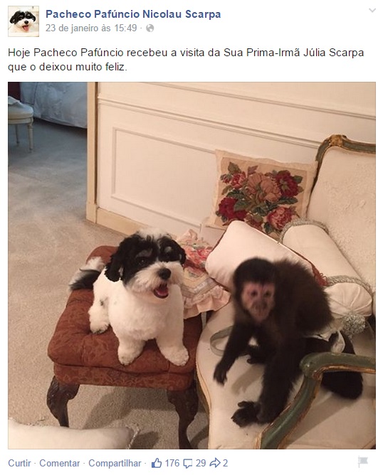 Em raro texto em terceira pessoa: "Hoje Pacheco Pafúncio recebeu a visita da sua prima-irmã Júlia Scarpa, que o deixou muito feliz" Em raro texto em terceira pessoa: "Hoje Pacheco Pafúncio recebeu a visita da sua prima-irmã Júlia Scarpa, que o deixou muito feliz"