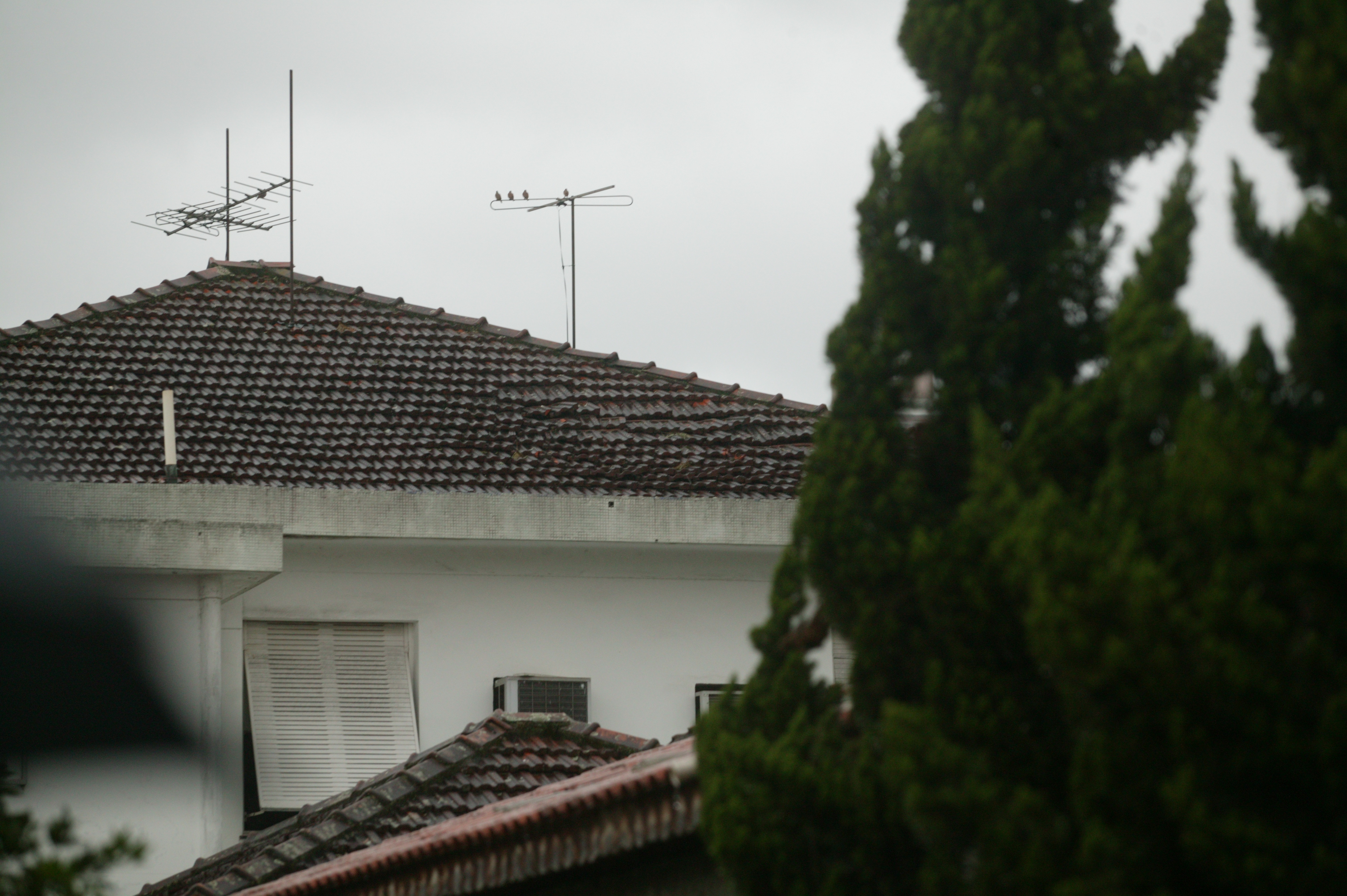 Telhado de uma das casas atingidas pelo avi&atilde;o com Eduardo Campos