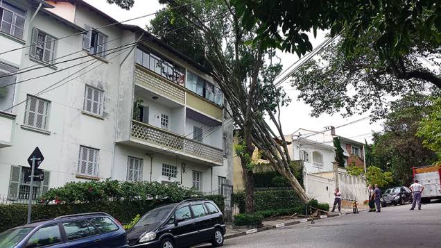 Árvore caiu sobre apartamento no Planalto Paulista na madrugada do dia 29 de dezembro de 2014; planta ficou escorada em prédio durante cinco dias