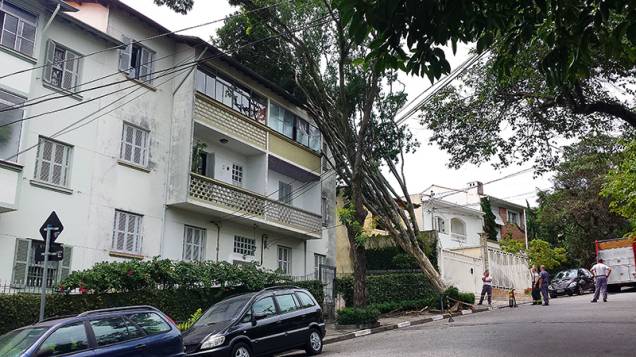 Árvore caiu sobre apartamento no Planalto Paulista na madrugada do dia 29 de dezembro de 2014; planta ficou escorada em prédio durante cinco dias Árvore caiu sobre apartamento no Planalto Paulista na madrugada do dia 29 de dezembro de 2014; planta ficou escorada em prédio durante cinco dias
