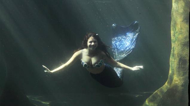 Do vidro do aquário, é possível cumprimentar a sereia, bem de pertinho