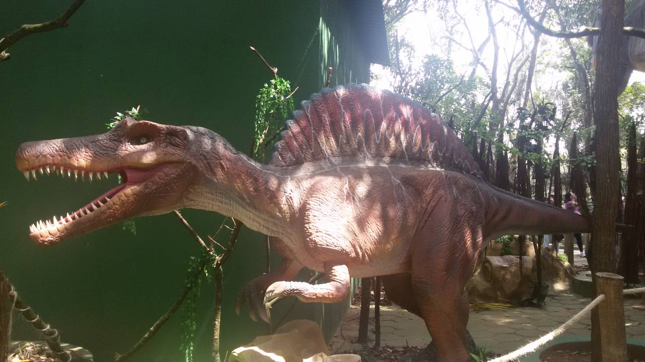 Angaturama - dinossauros - Zoológico de São Paulo (3)