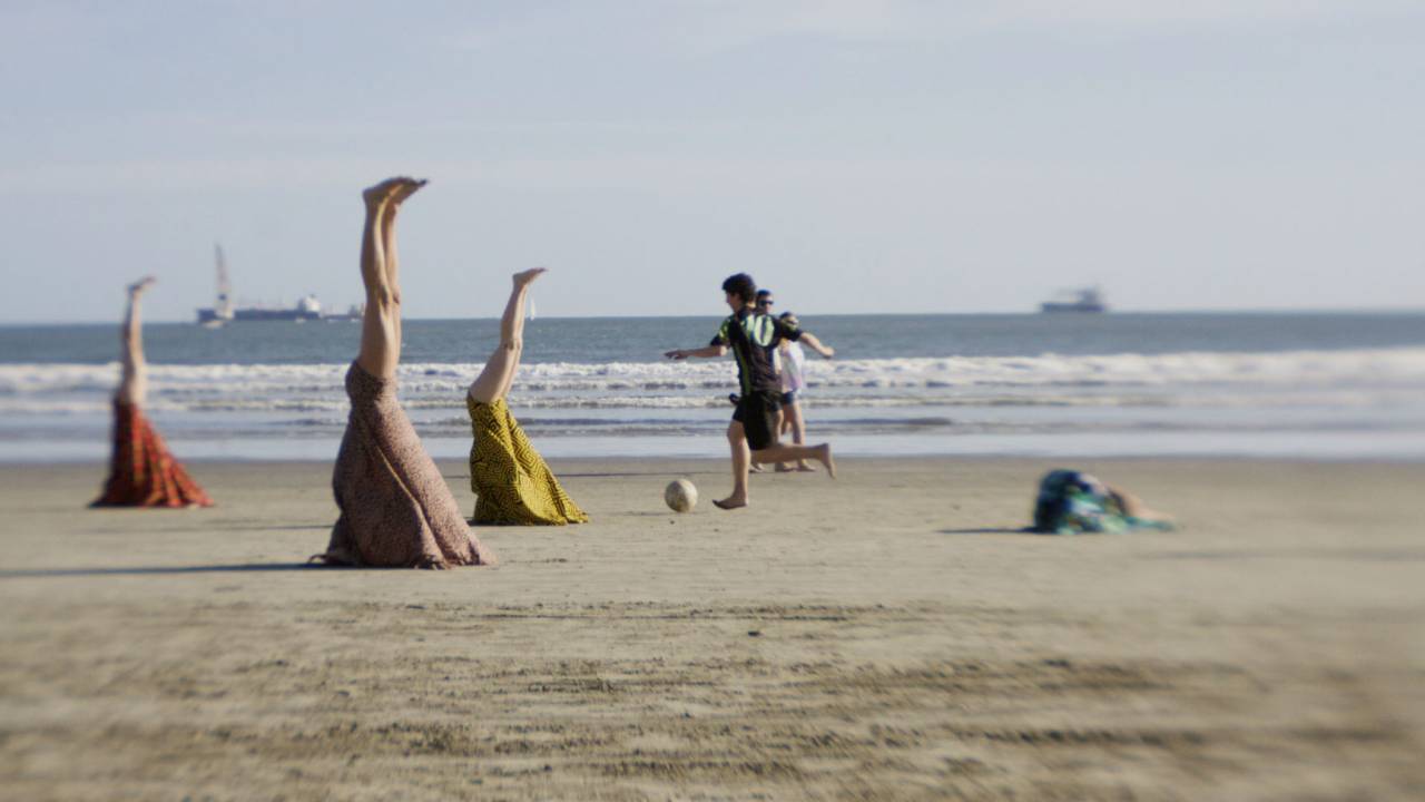 Festival Contemporâneo de Dança - Árvores