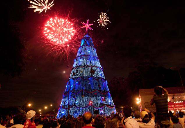 Show com fogos de artifício inaugura árvore de Natal do Ibirapuera | VEJA  SÃO PAULO
