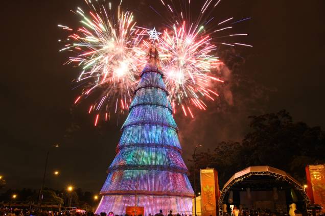Natal Iluminado - Árvore do Parque do Ibirapuera em 2010