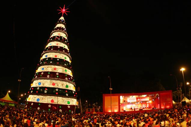 Natal Iluminado - Árvore do Parque do Ibirapuera em 2008