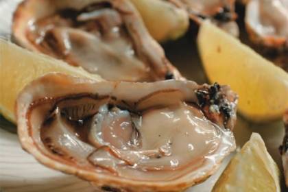 o-catarina-03.jpeg O Catarina