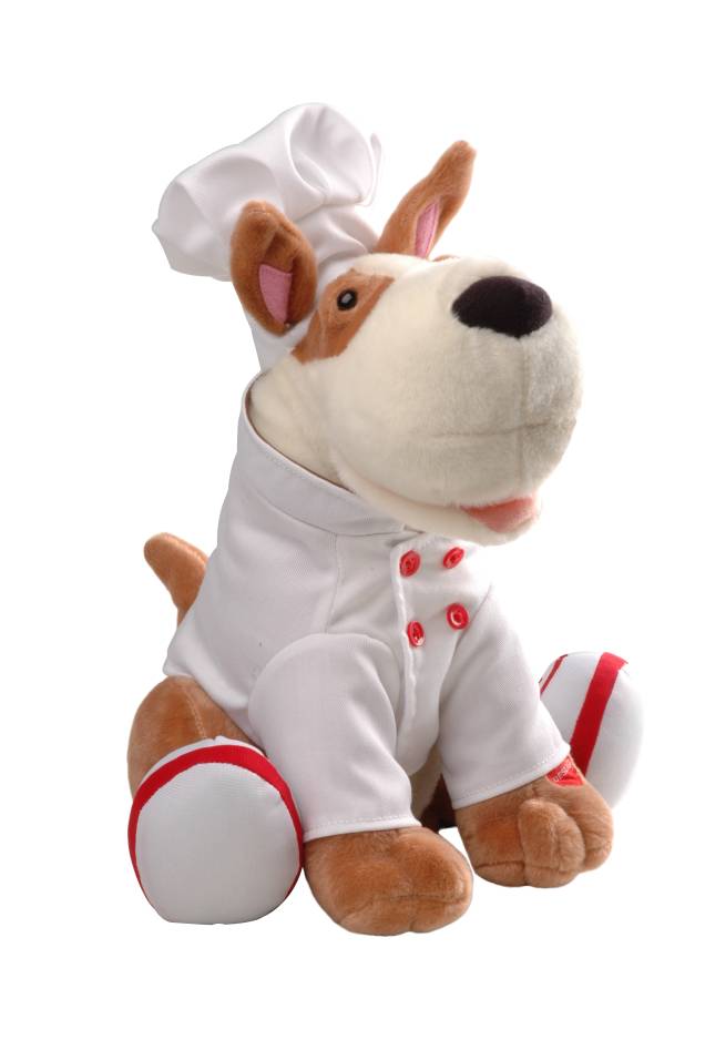 Cão Spock Mestre Cuca Cão Spock Mestre Cuca