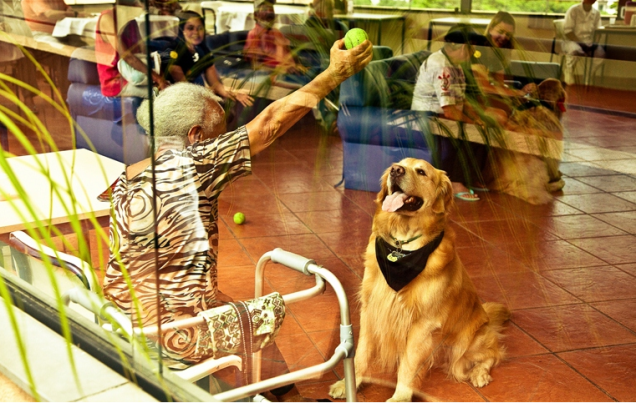 O golden retriever Jorge em visita a Morada São João, um abrigo para idosos no centro