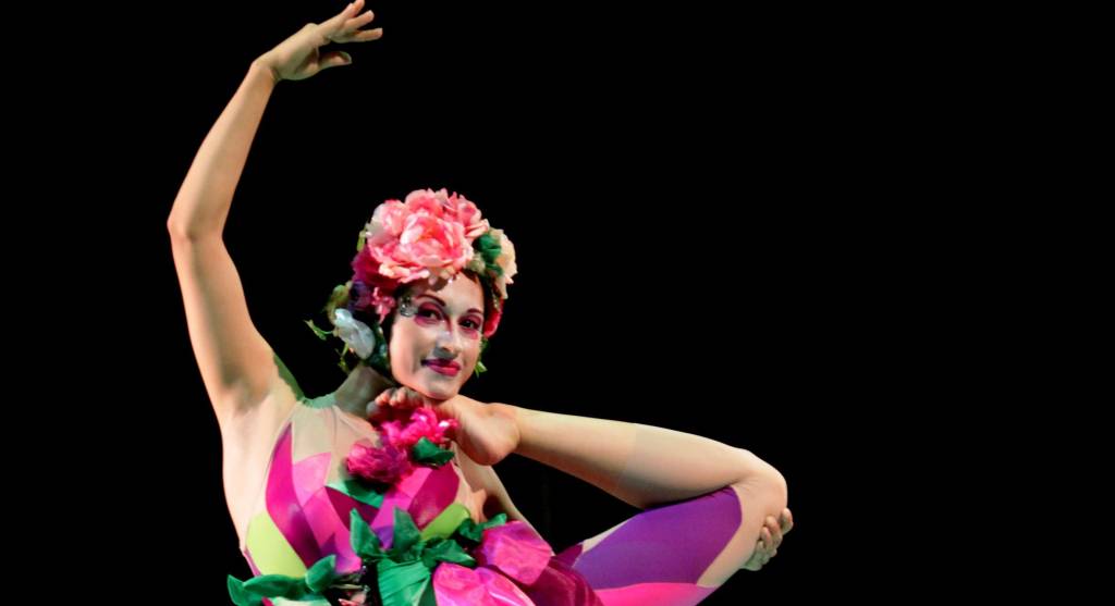 Contorcionismo chama aten&ccedil;&atilde;o em show, no Circo dos Sonhos