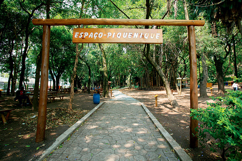 Espaço para piquenique - Parque da Água Branca